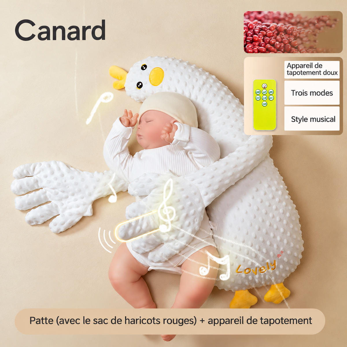 FR - Canard